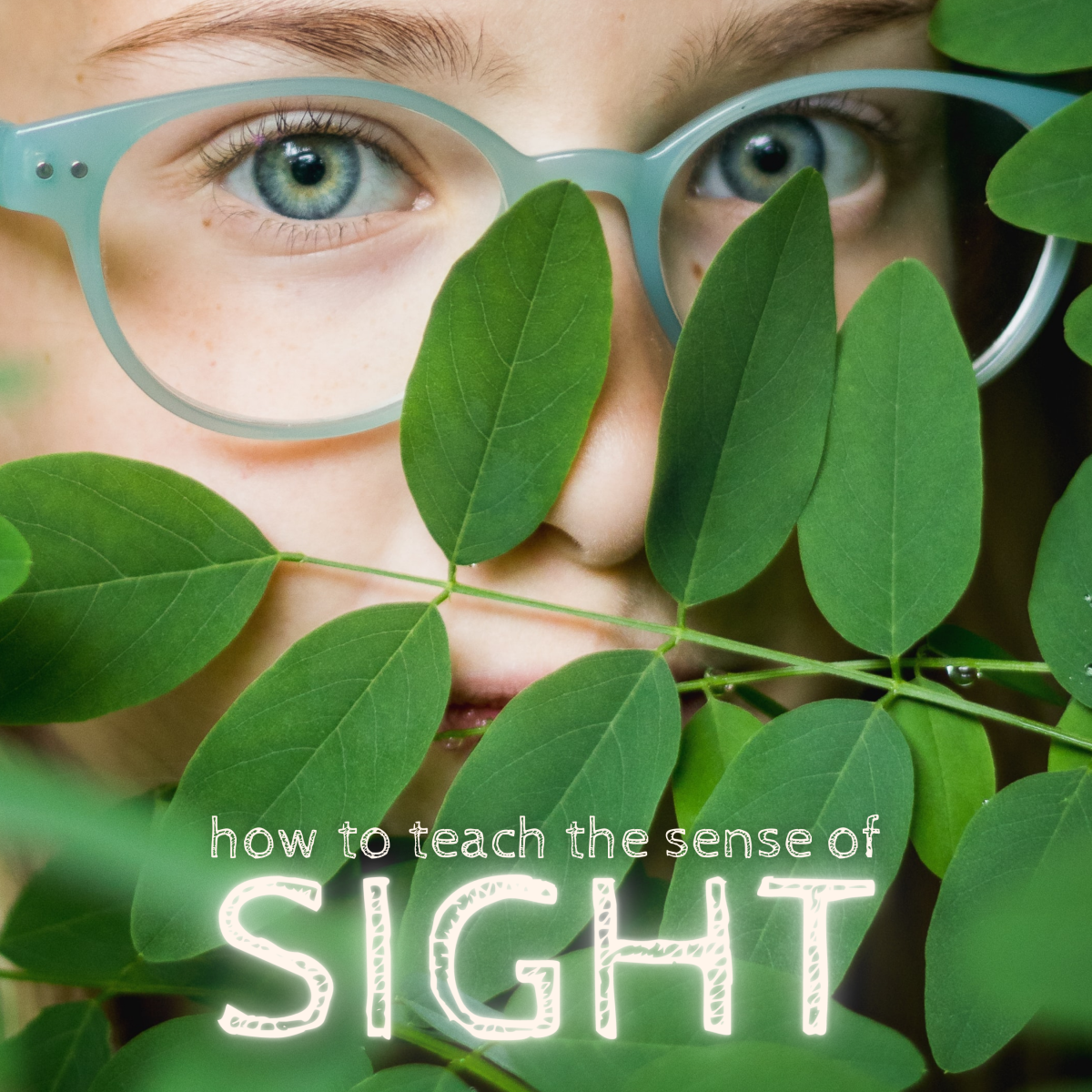 Teaching Kids in Preschool About the Sense of Sight