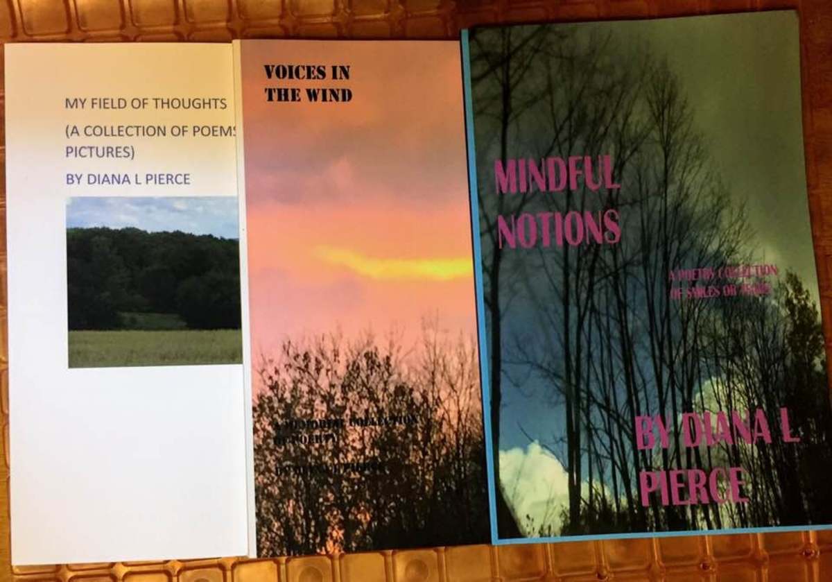 Three of the four poetry books I published in 2020