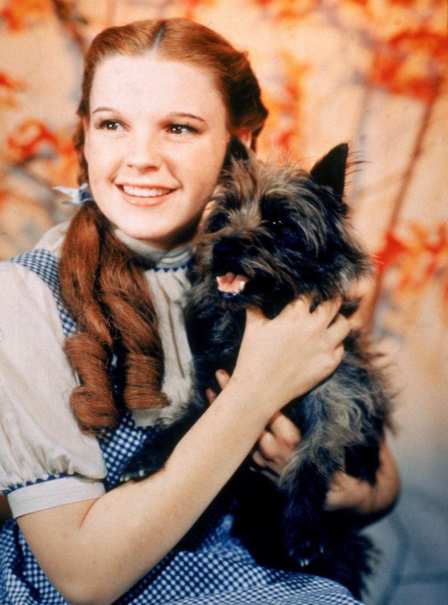 Dorothy and Toto, an iconic American duo