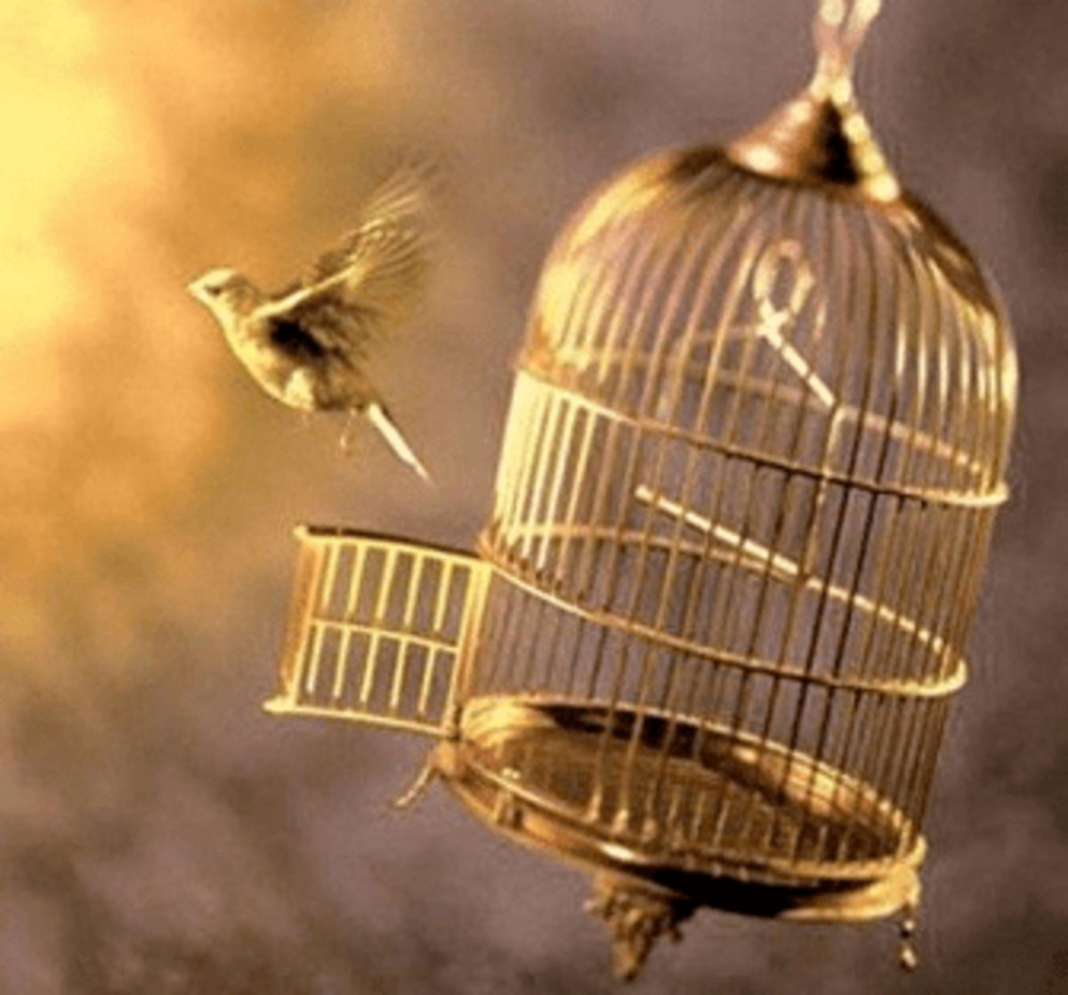 How Wonderful It Will Be To Set A Caged Bird Free!
