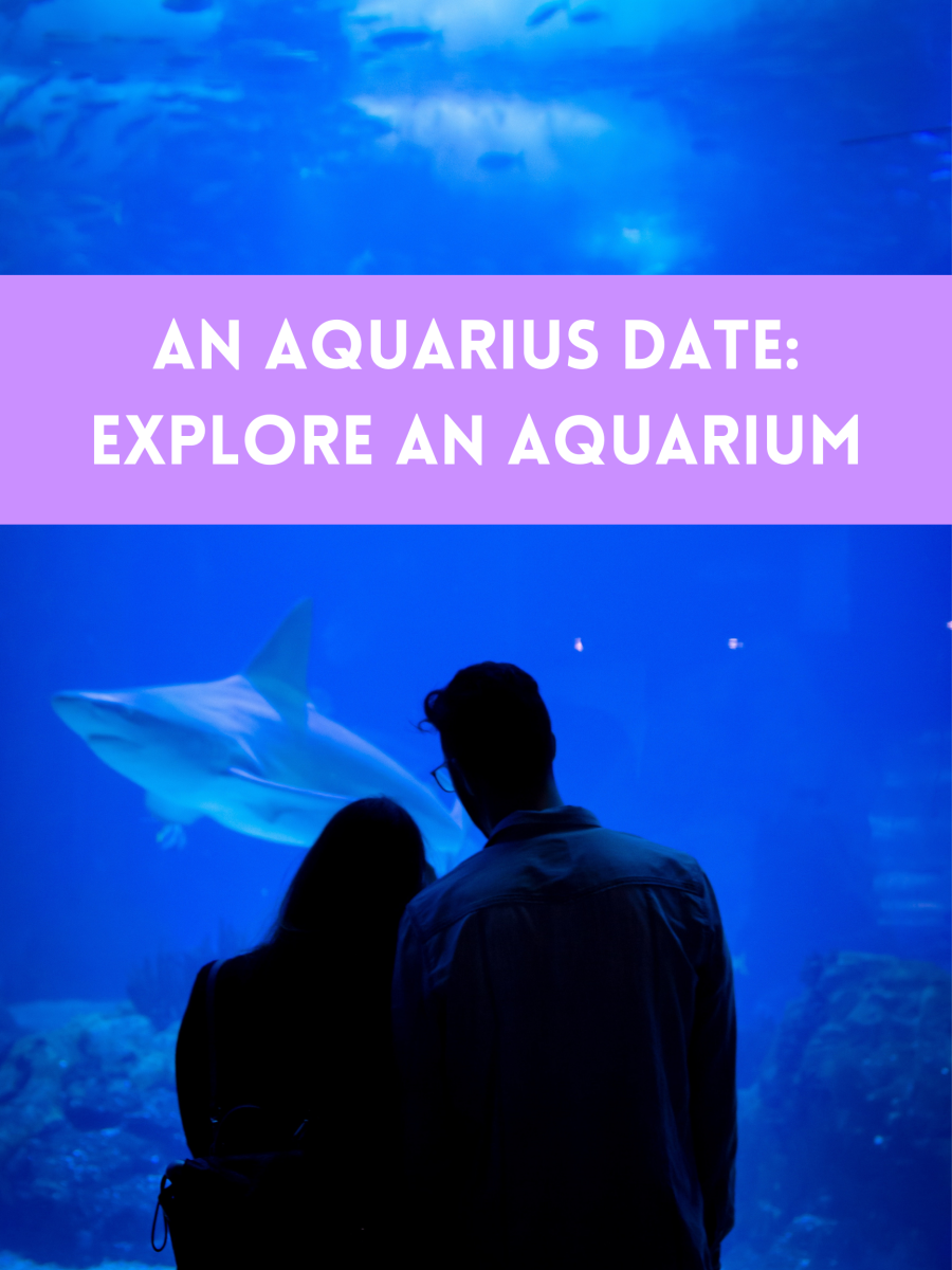 Aquarius will love a romantic dinner at an aquarium. The visuals are mesmerizing. Aquarius has a thing for mermaids, bright-colored fish, and a handsome date.