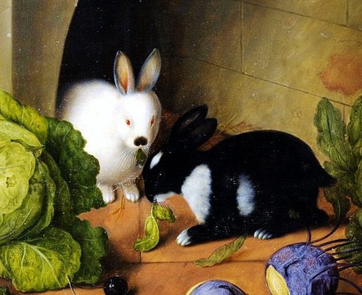 Rabbits Painting By Johann Georg Seitz
