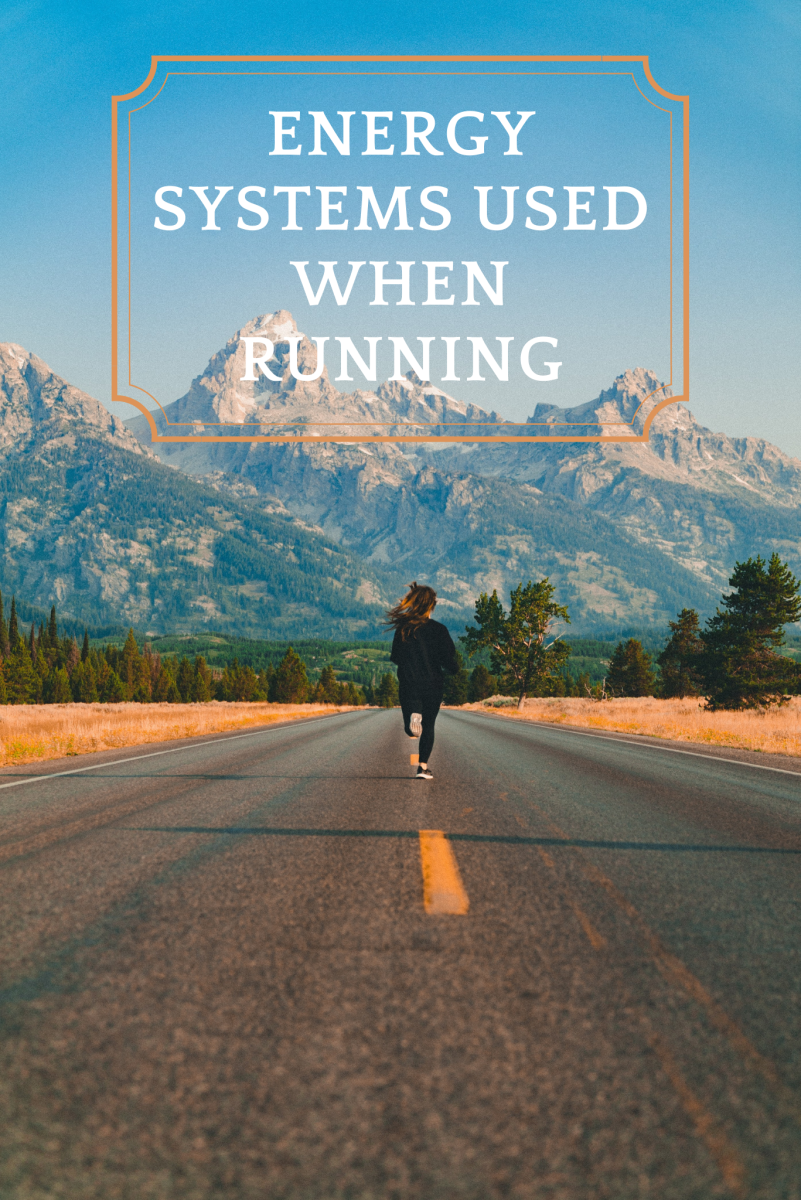 What energy systems are used when running?