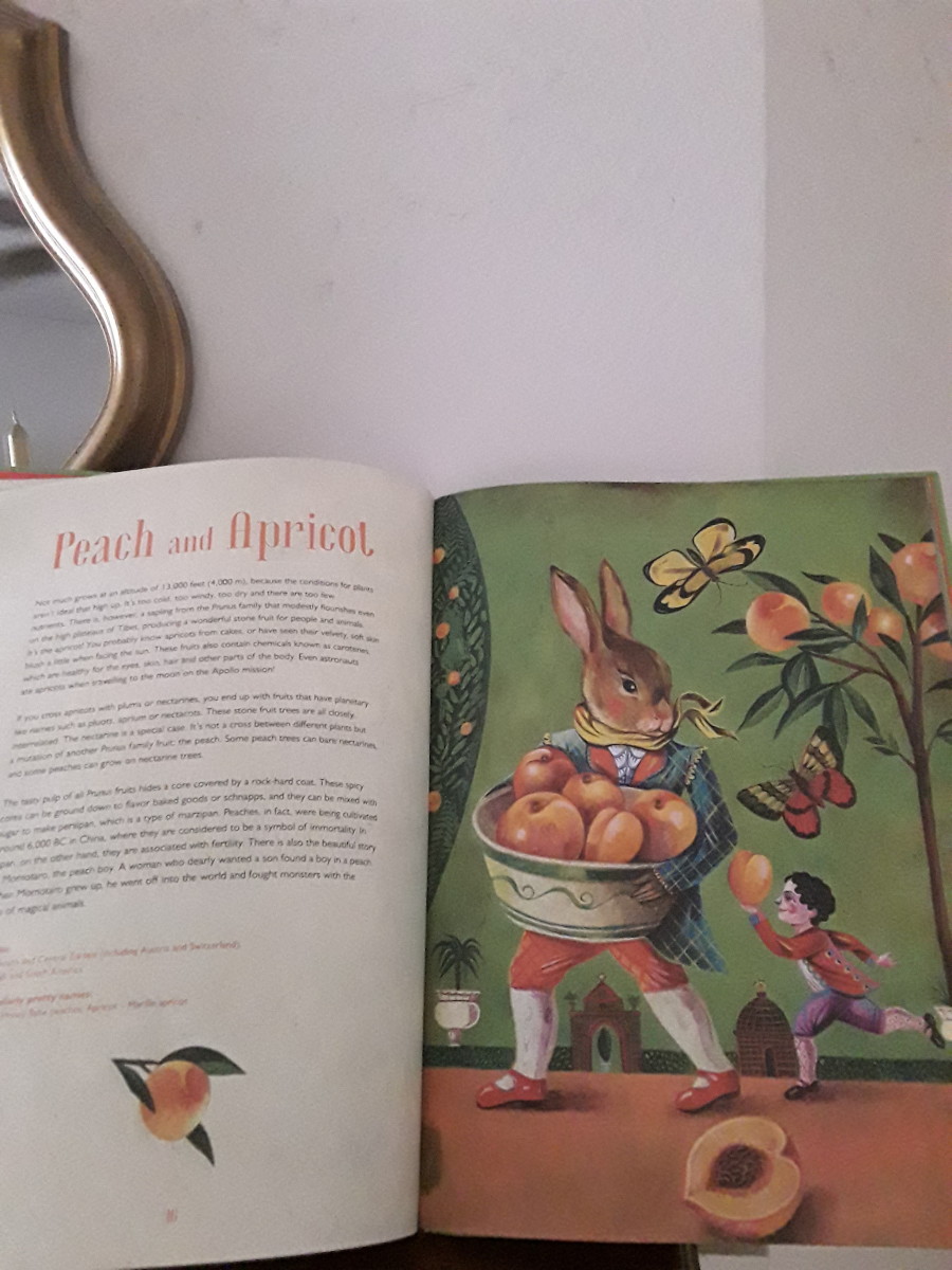 fruits-fairytales-and-fun-facts-about-fruits-in-stunningly-illustrated-childrens-book-to-learn-all-about-fruit