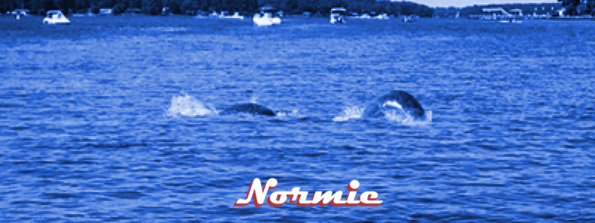 Normie is the second most popular sea creature believed to exist.