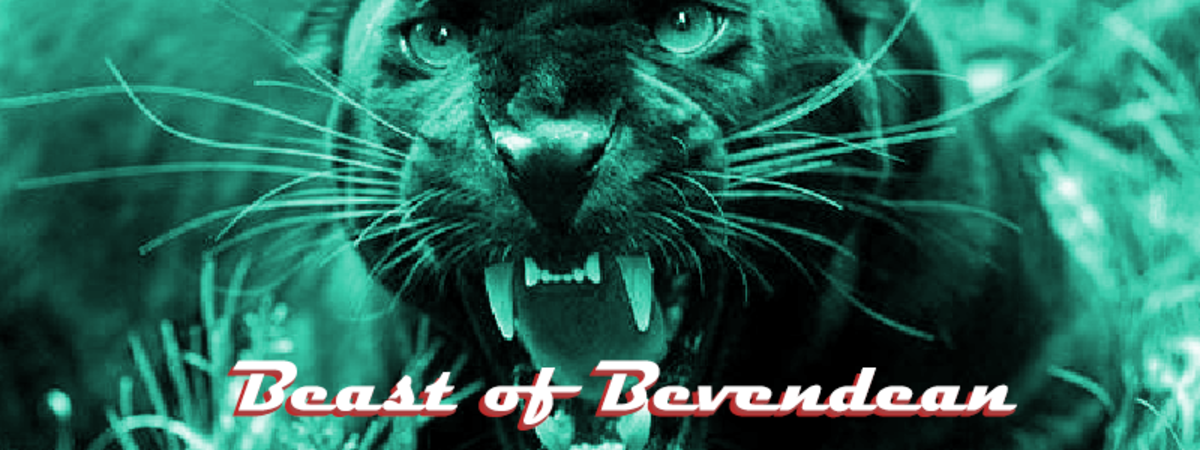 The Beast of Bevendean is one of the most sighted phantom cats in the country.