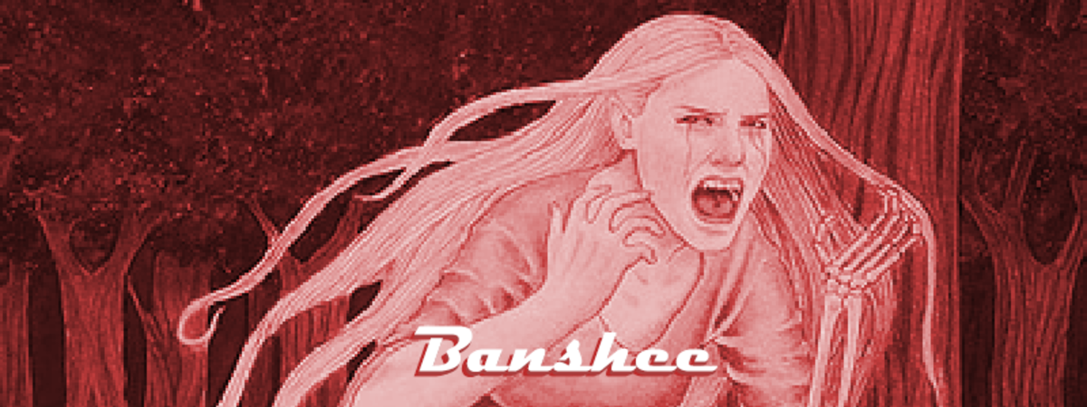 Descriptions of Banshees may vary, but it is agreed that it is never a good sign to see them