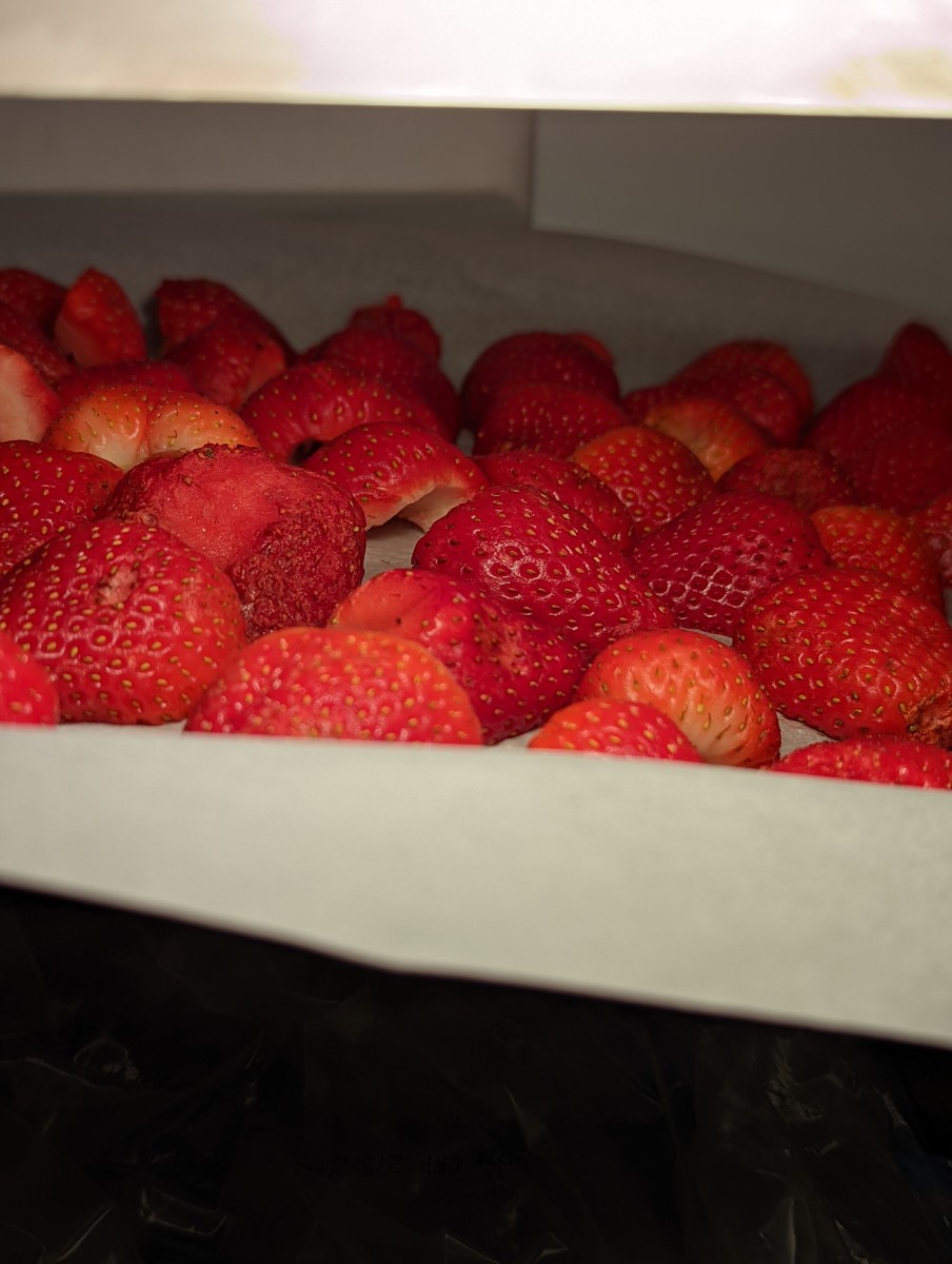 strawberries-are-easily-frozen