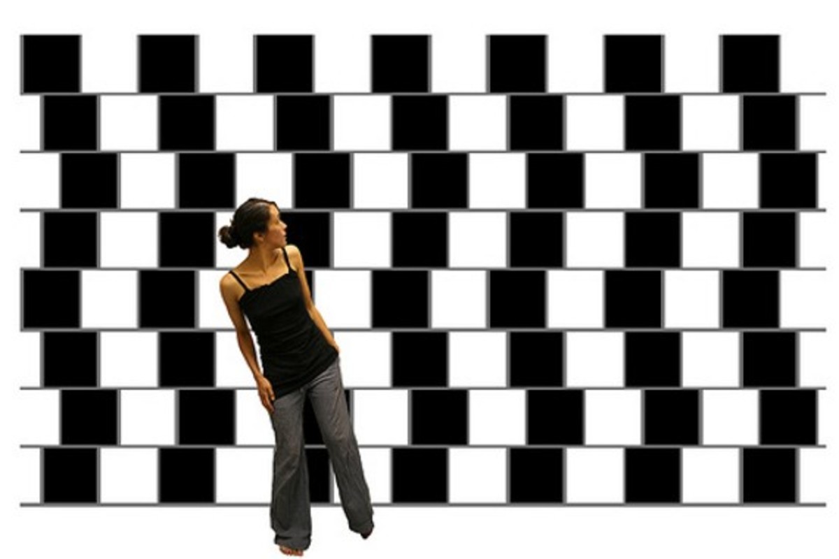 Are the horizontal lines straight or crooked? Optical illusions play with our perceptions.
