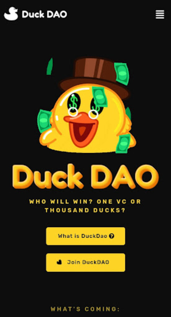 Duck Dao Webpage