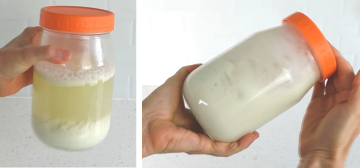 fermented-hemp-milk