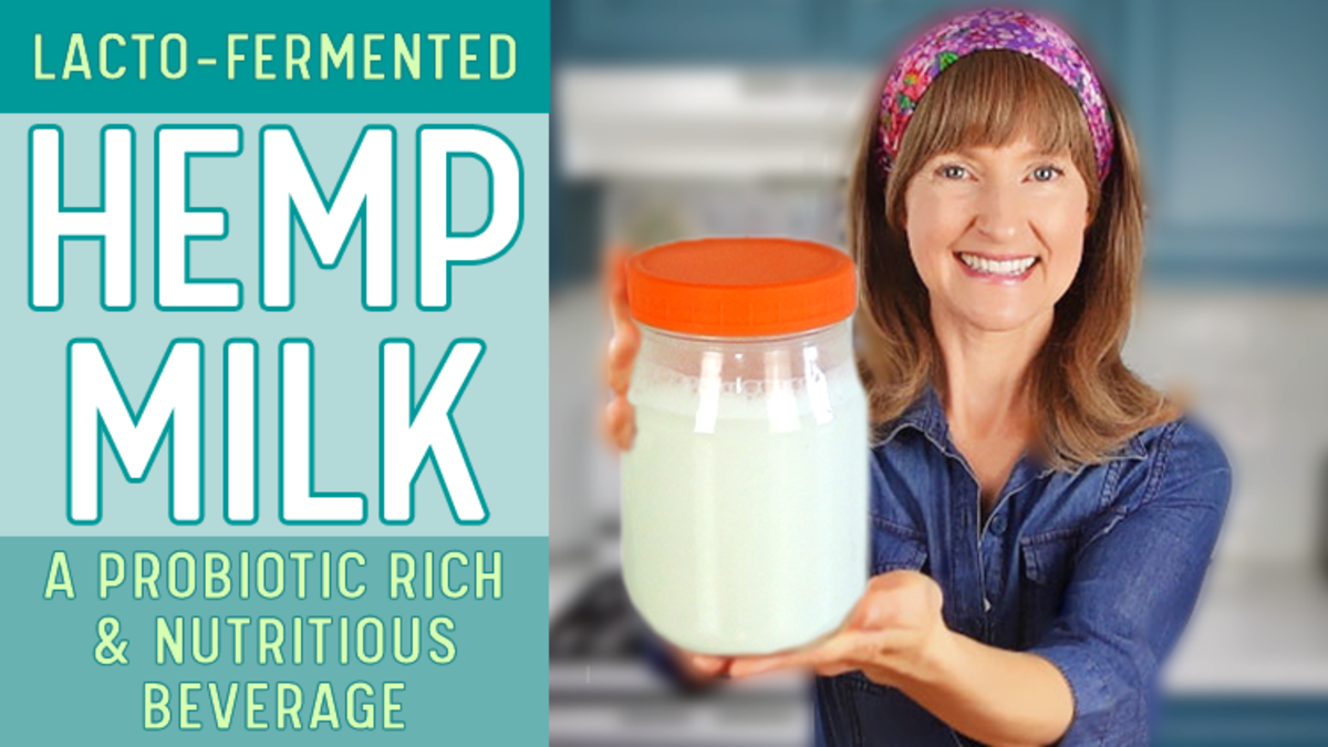 Lacto-fermented hemp milk