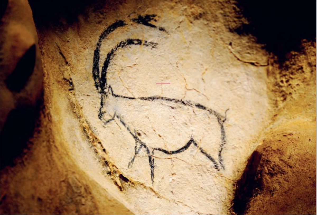 A 36,000-year-old drawing of a goat in the Chauvet Cave in France.