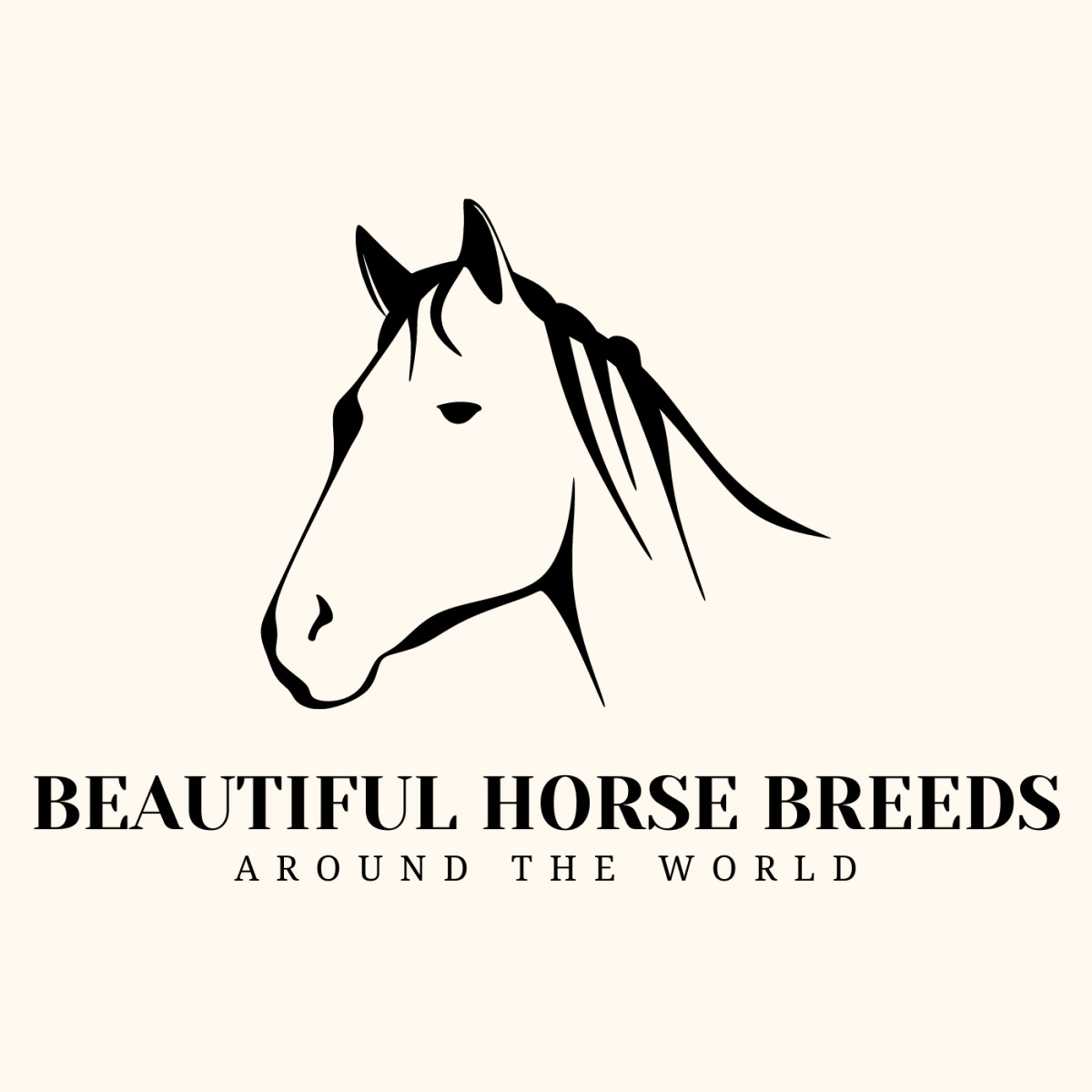 The Most Beautiful Horse Breeds Around the World