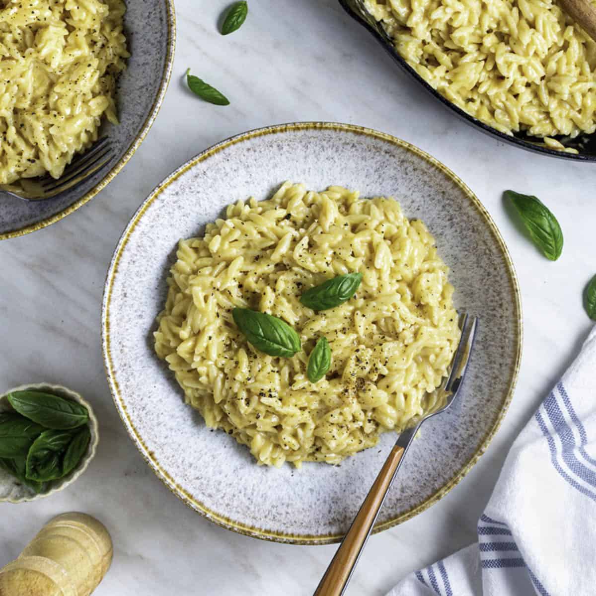 First of all I decides not use Patina pasta, I chose to use Orzo pasta because it a tougher type of pasta with more body, When I looked at the patina it seems to get lost in the dish but the Orzo is courser and firmer and handle this dish very well