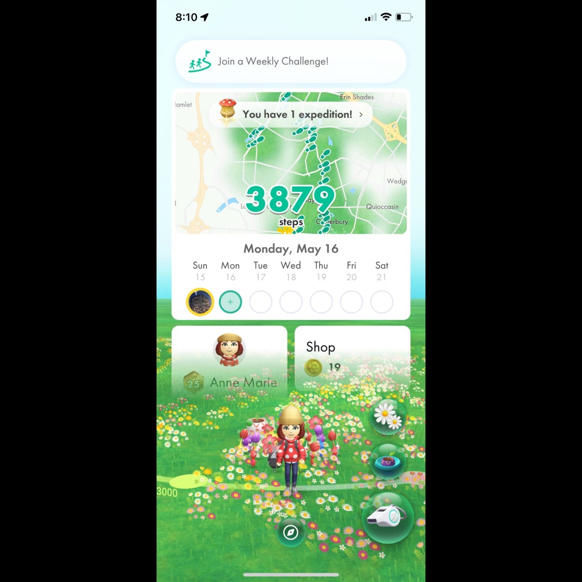A Review of Niantic's 