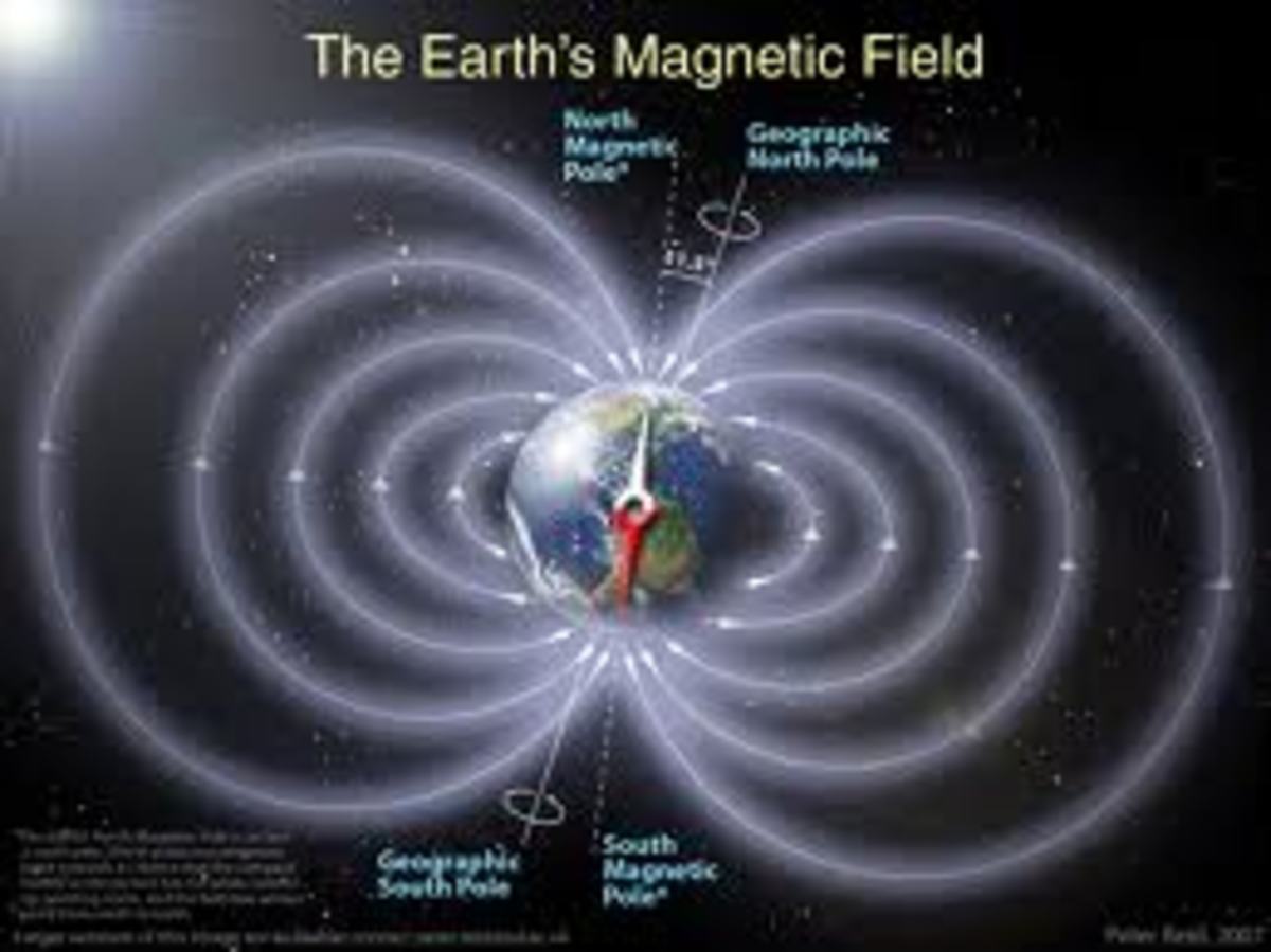 using-magnetite-to-find-their-way-around-our-planet-earths-magnetic-field