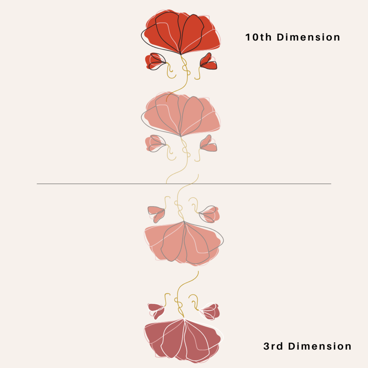 How the distortion filter works from the 10th dimension down to the 3rd dimension.