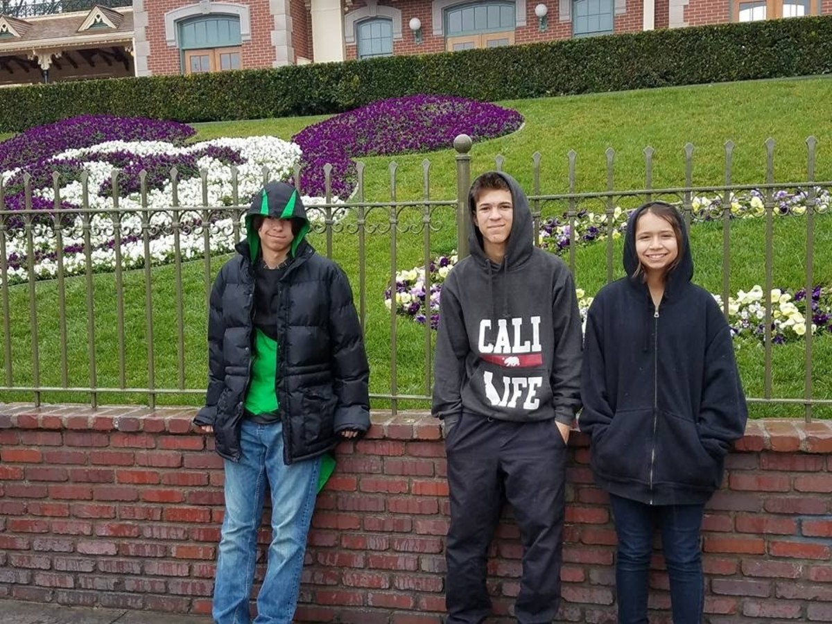 I took the kids to Disneyland beginning of 2016; all three, all day....again on a rare day off