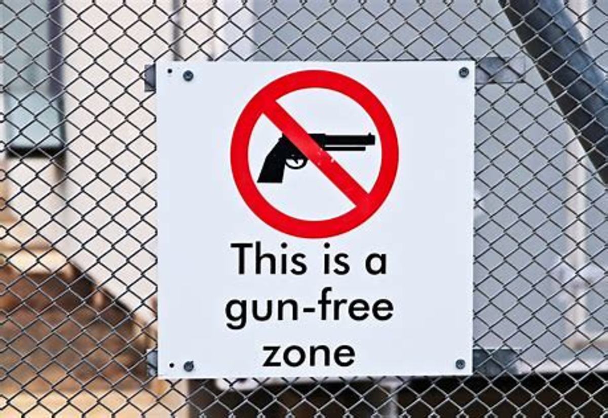 Common Sense Gun Control in the USA