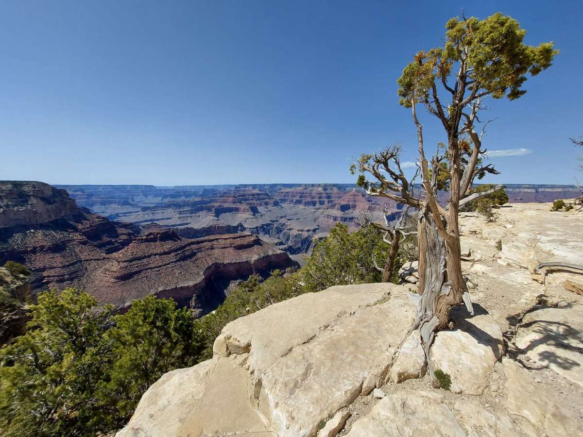 The Best Time to Visit the Grand Canyon and Features of the National Park