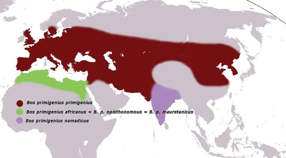 The range of the Bos primigenius primigenius is shown in red.