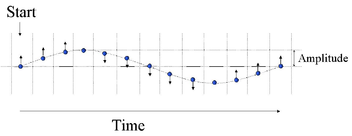 A particle oscillating about a central point. Different points in the motion are shown with time. The amplitude is the maximum distance from the centre of its motion.