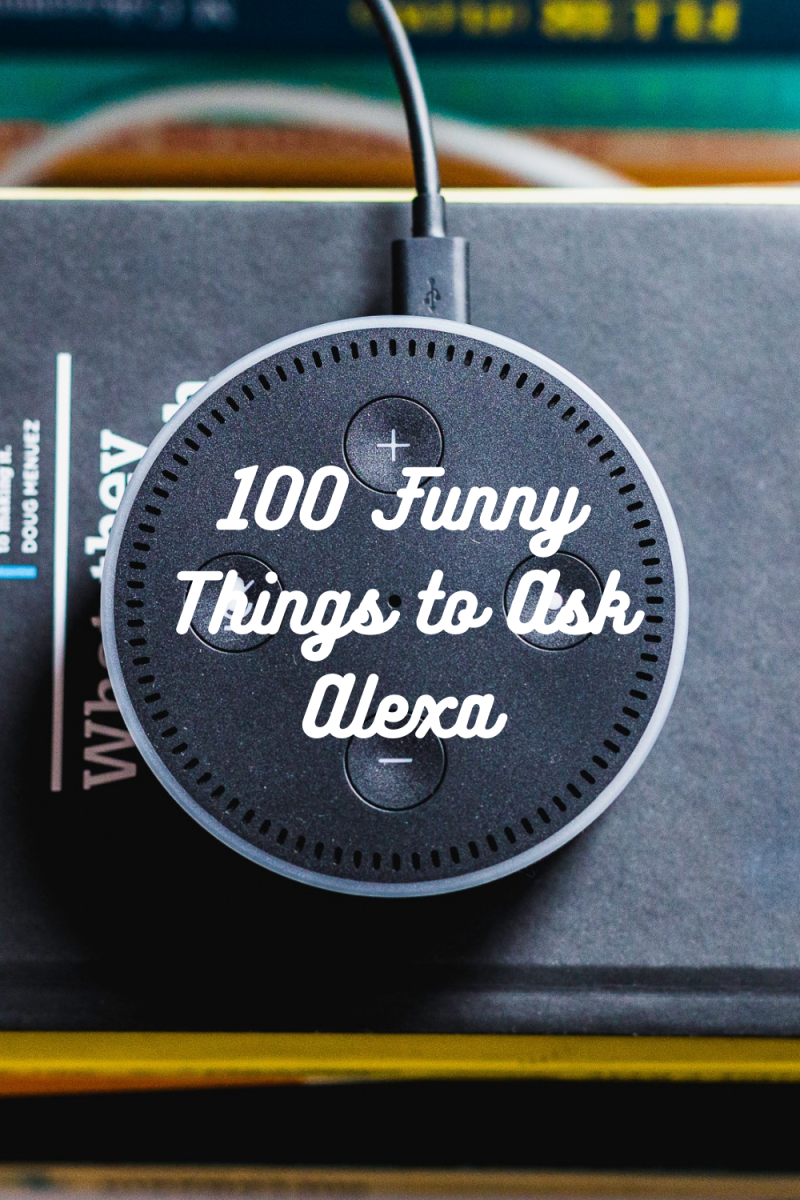 længst forsendelse beholder 100 Funny Things to Ask Alexa - TurboFuture