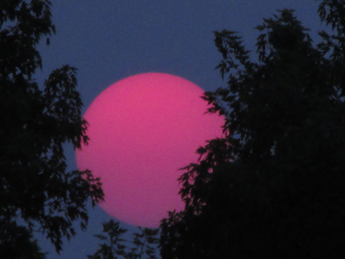 A recently photo taken by the author shows how disinformation can work, this clear photo of our Sun setting, shows an unusual color, clarity and size and while the color was explained by the recent wildfires in Canada, the size and clarity wasn't.