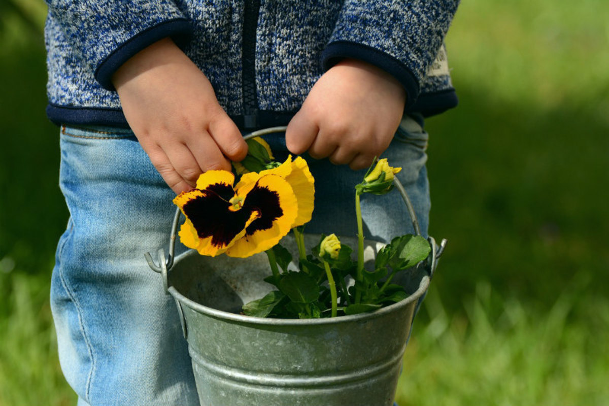 how-to-make-gardening-easier-my-9-top-tips