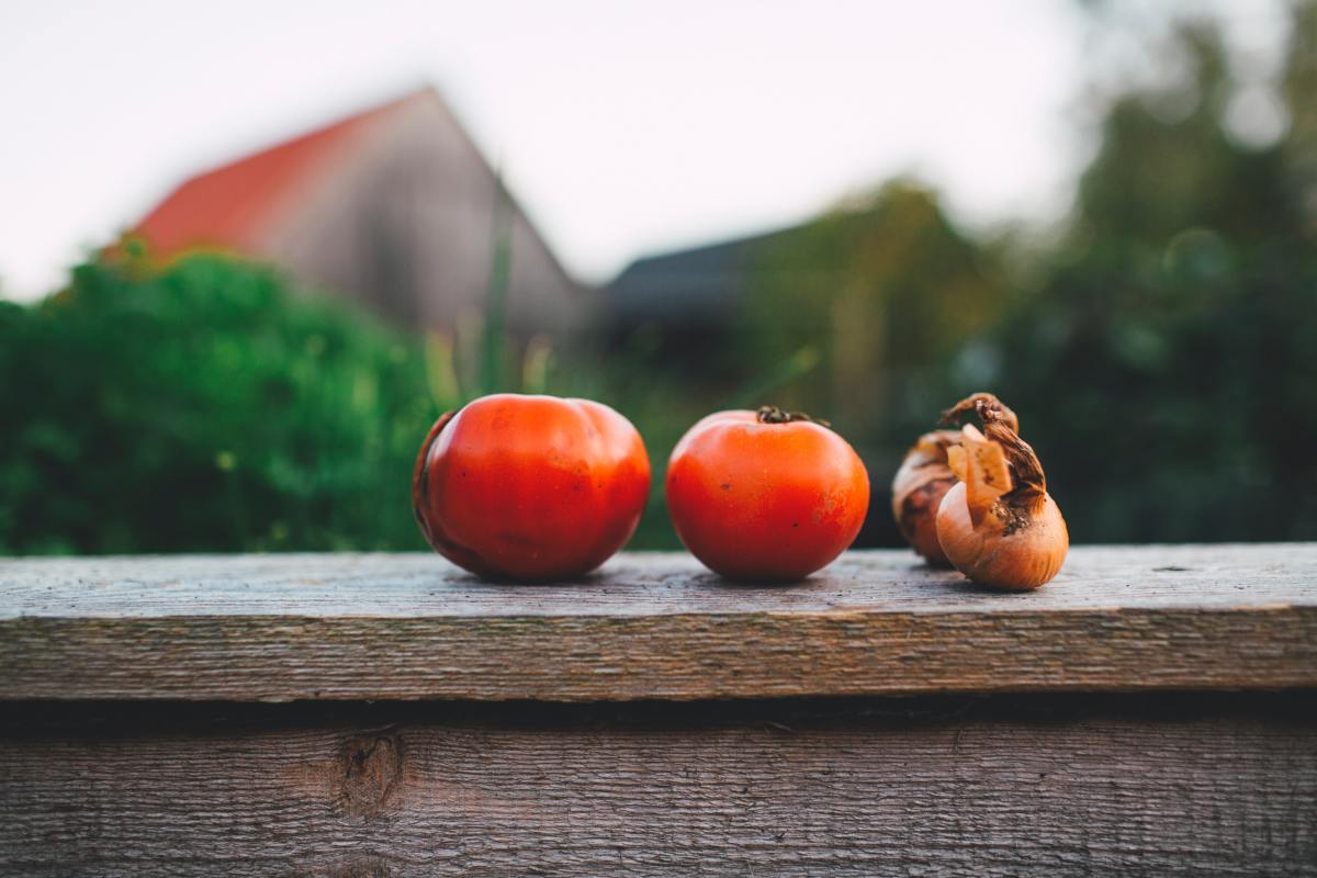 If your garden box is successful, tomatoes are in your future.