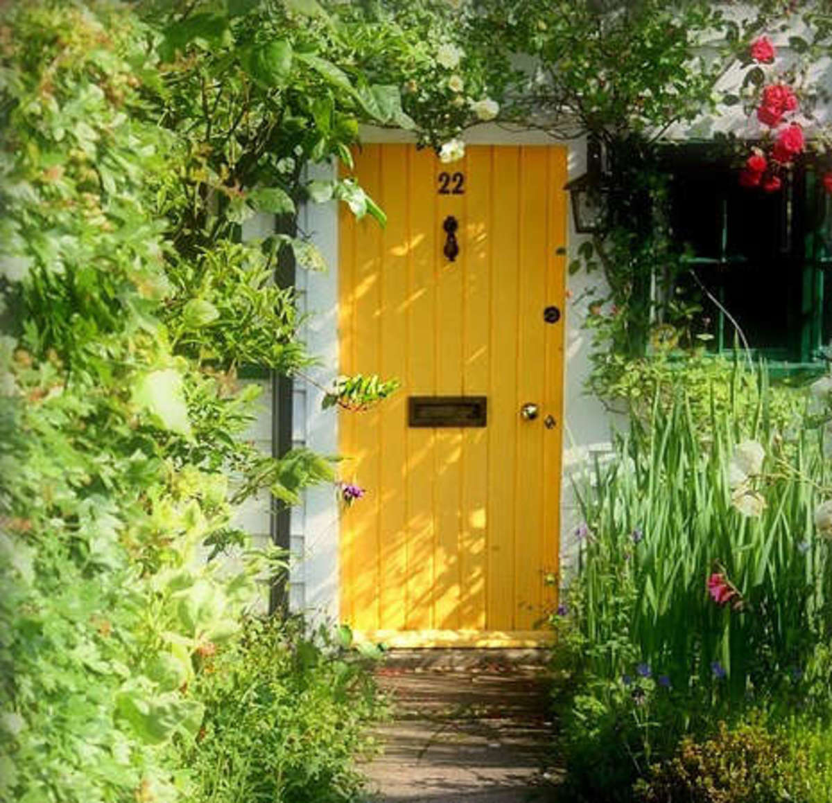 Fine yellow paint of the front door kit.