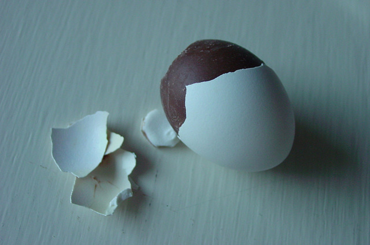 Blown eggs can be used for a number of purposes, including as molds for chocolate!