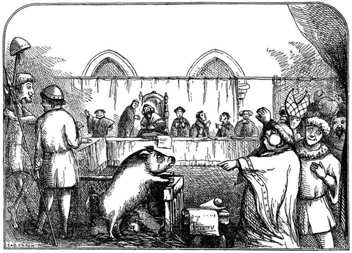 medieval-animal-court-trials