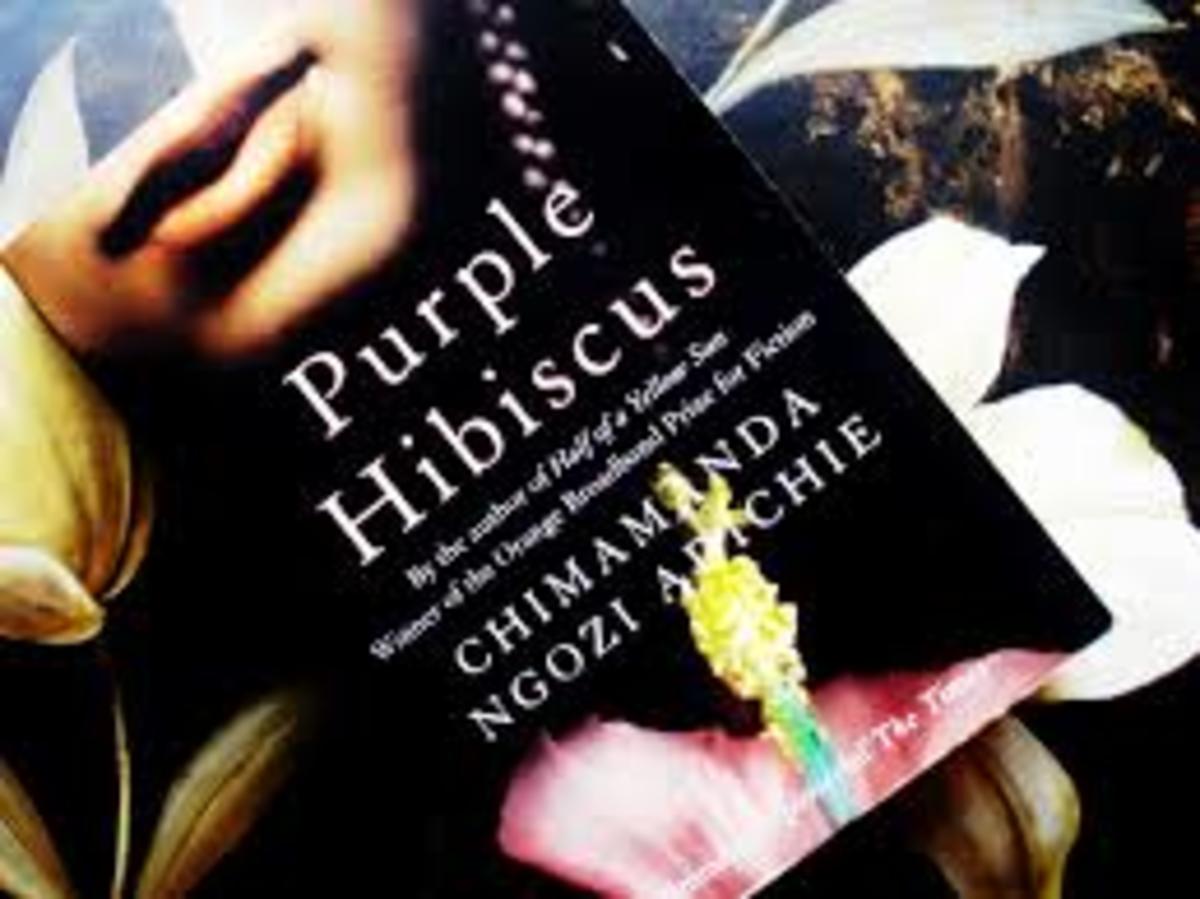 A Review of Purple Hibiscus