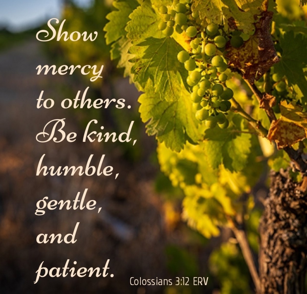 Personal Benefits of Praying for Our Enemies LetterPile