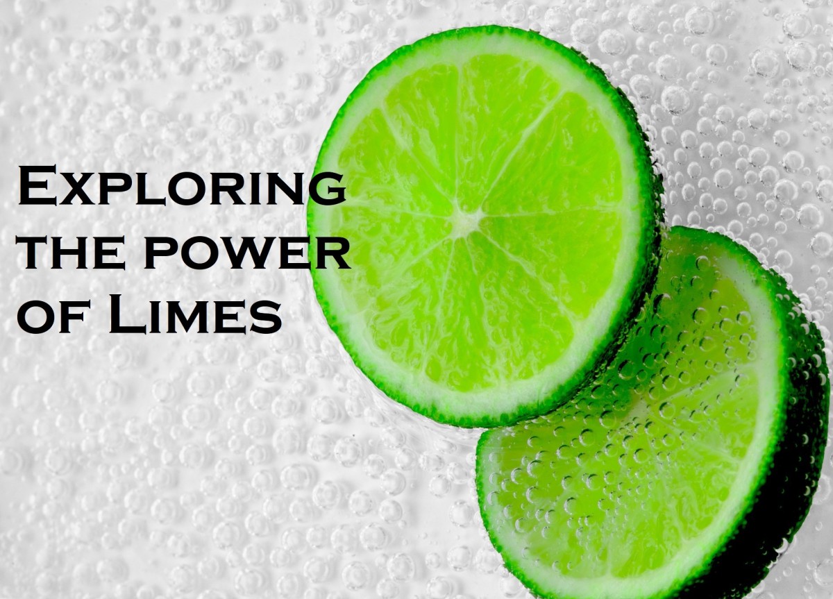 Exploring Limes Recipes to Help You Harness the Power of Sour Delishably