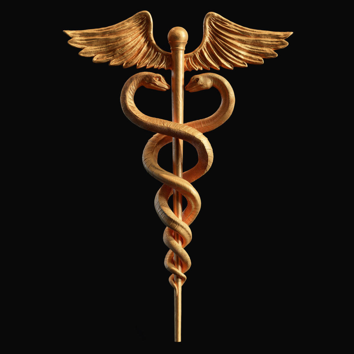 Caduceus Medical symbol 3d print model