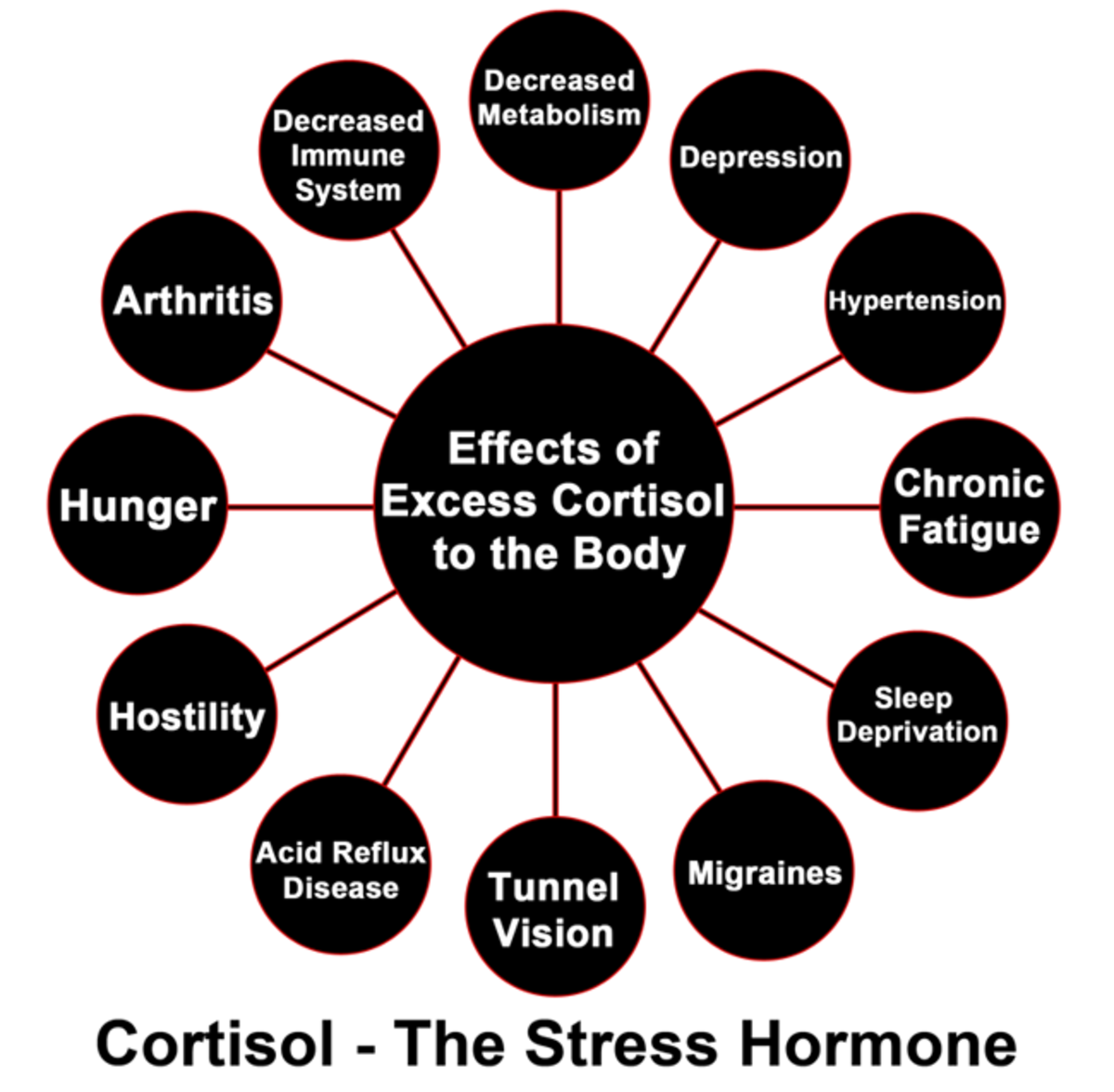 Weight Loss The Hormone Effect HubPages