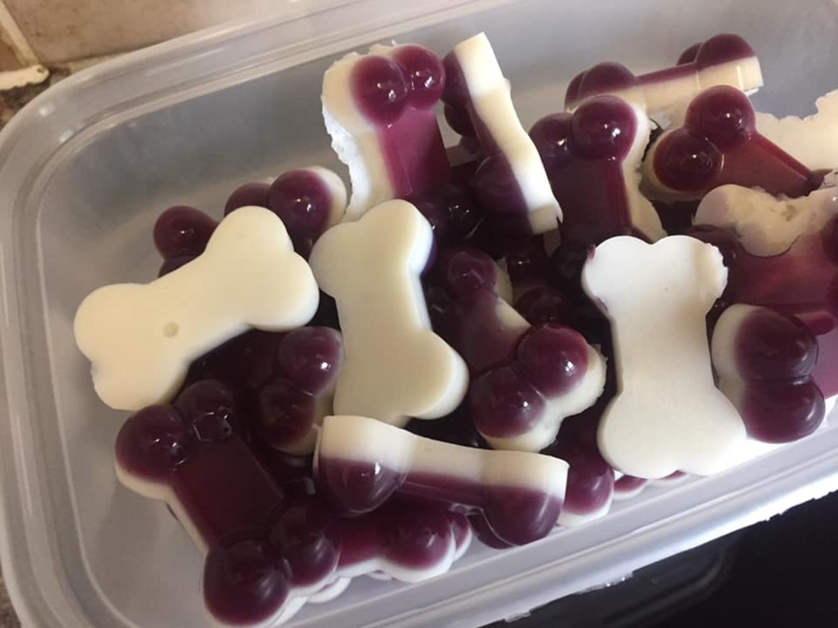 Gummies are simple and fun to make, providing a healthy treat for your dog