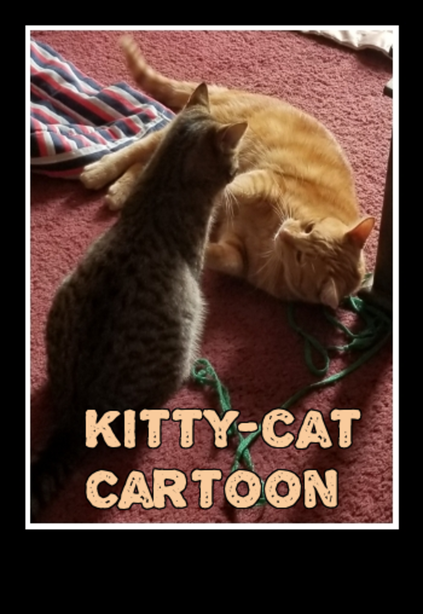 Poem: Kitty-cat Cartoon