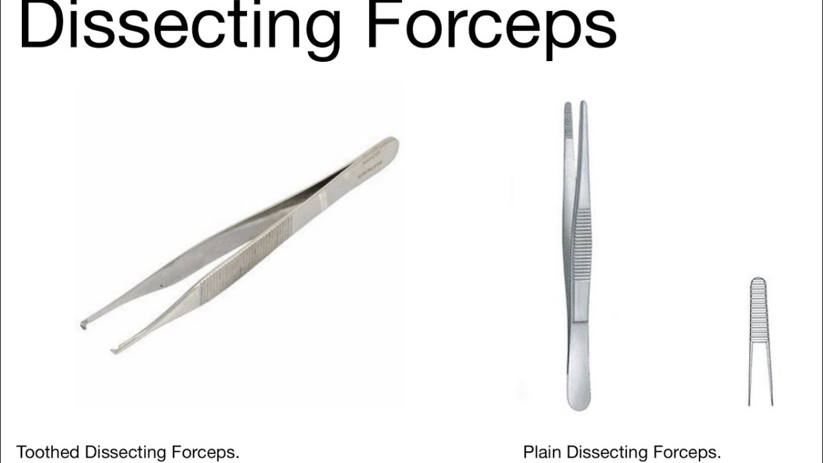 Dissecting Forceps 