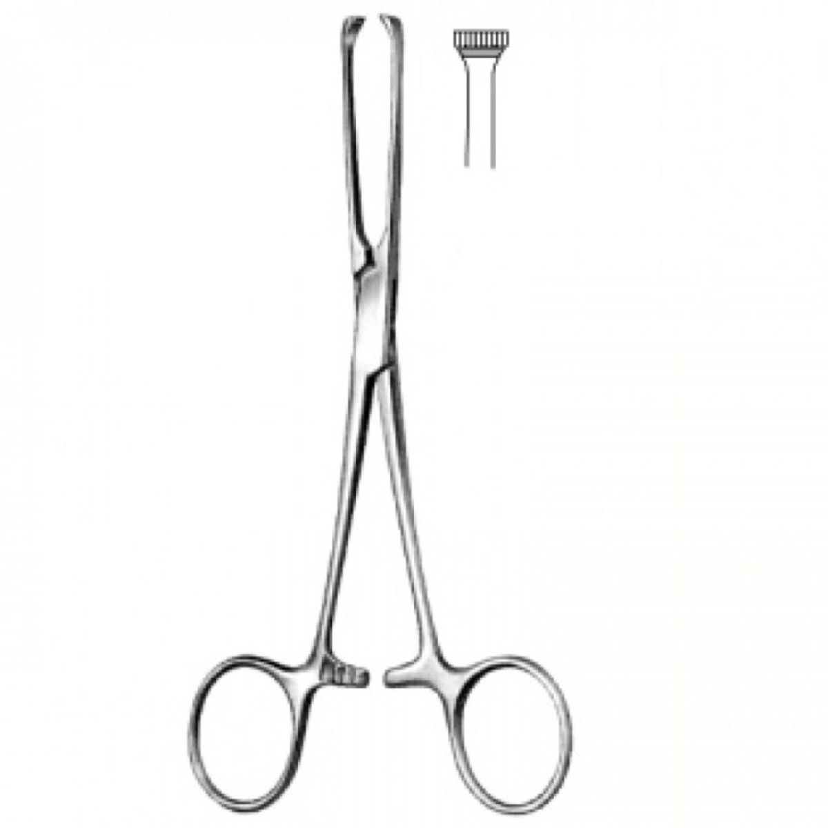 Basic Needed Surgical Instruments