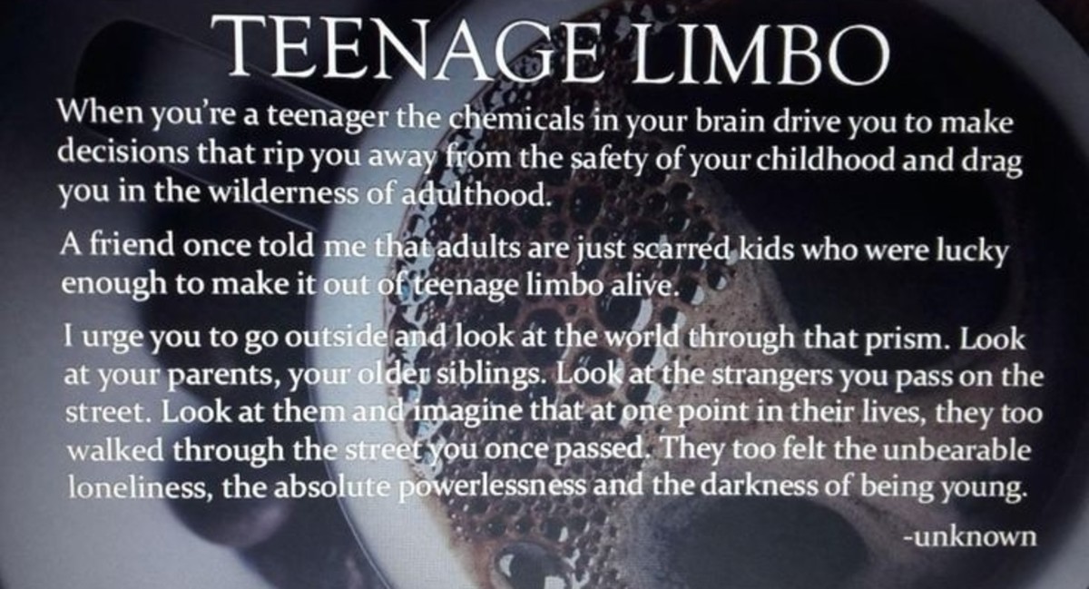 chemical-hearts-teenage-limbo