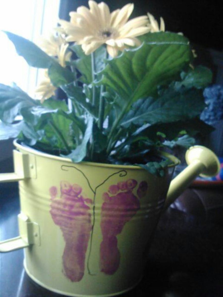 Footprint Butterfly Watering Can