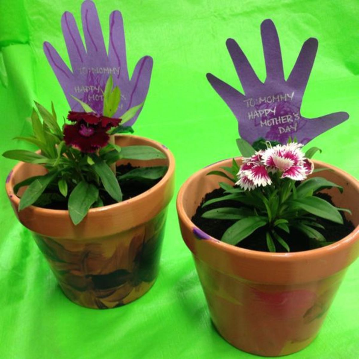 Handprint Plants