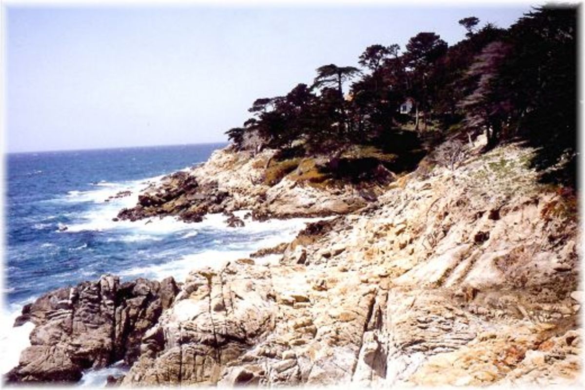 Seacoast Picture from Famous 17 Mile Drive in California
