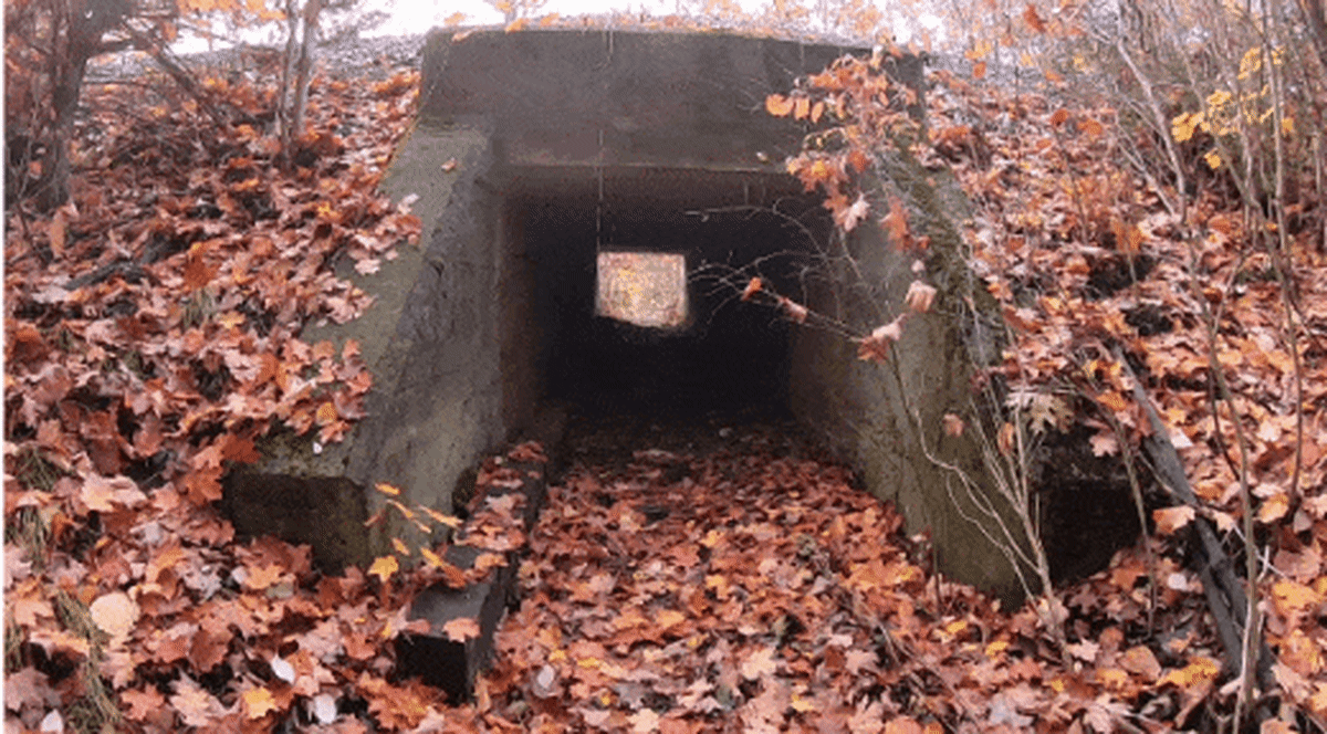 蝙蝠从隧道里出来的动画。