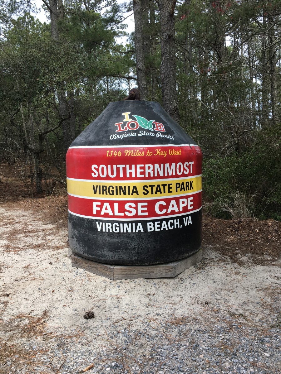 False Cape is the southern most state park in Virginia. It extends from Back Bay National Wildlife Refuge to the North Carolina boarder. 