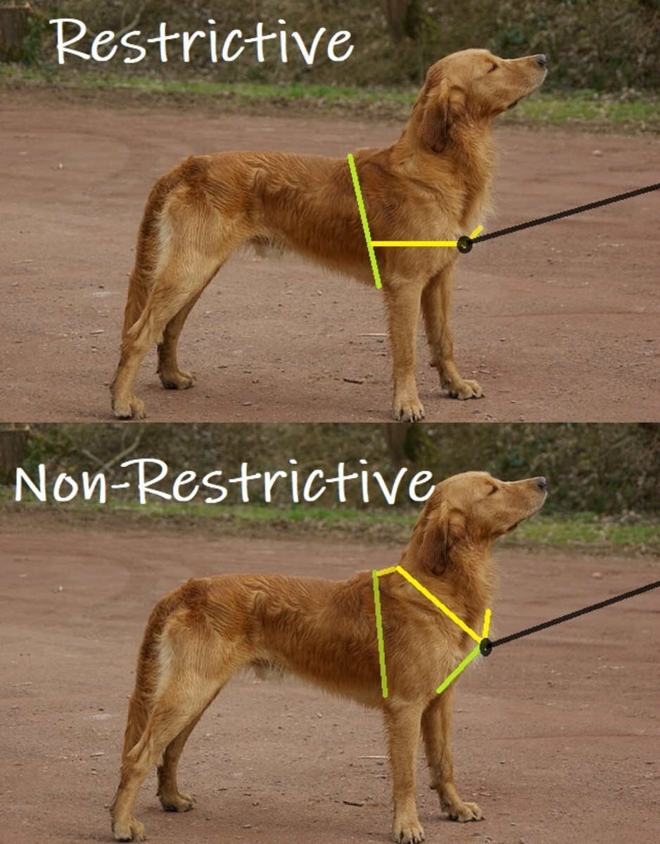 Restrictive versus non-restrictive harness